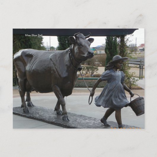 Miss Blue Bell Postcard ポストカード (正面)
