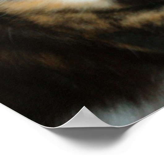 Miss. Kitty ポスター (角)