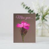 Miss you... ポストカード (スタンド正面)