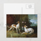 MisseとTurlu、ルイ15世の2つのグレイハウンド ポストカード (正面/裏面)
