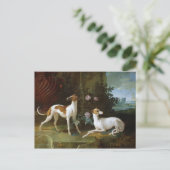 MisseとTurlu、ルイ15世の2つのグレイハウンド ポストカード (スタンド正面)