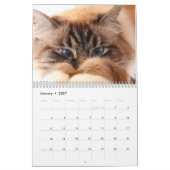 Missenell 2022カレンダー カレンダー (1月 2027)