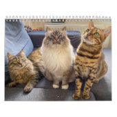 Missenell 2022カレンダー カレンダー (カバー)