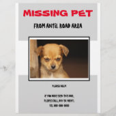 MISSING PET 02  FLYER POSTER チラシ (正面)