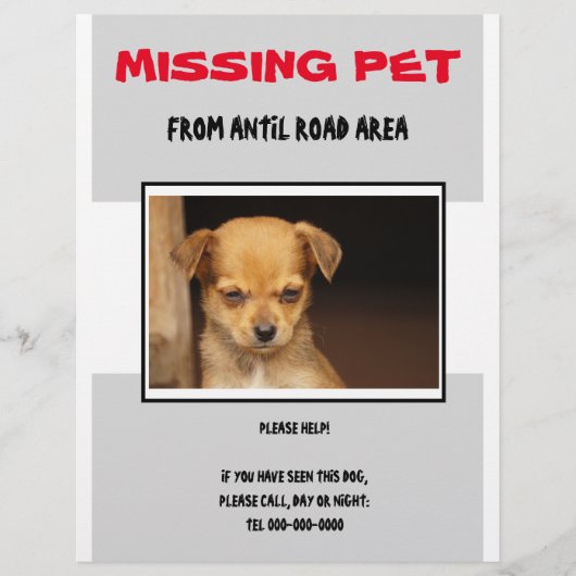 MISSING PET 02  FLYER POSTER チラシ (正面)
