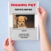 MISSING PET 02  FLYER POSTER チラシ (手)