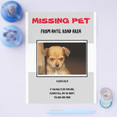 MISSING PET 02  FLYER POSTER チラシ (シングル)