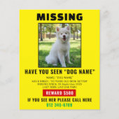 Missing Pet Dog – Urgent Template Poster チラシ (正面)