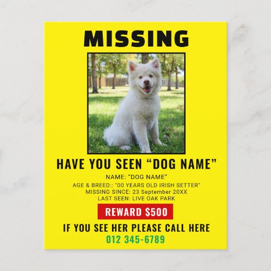 Missing Pet Dog – Urgent Template Poster チラシ (正面)