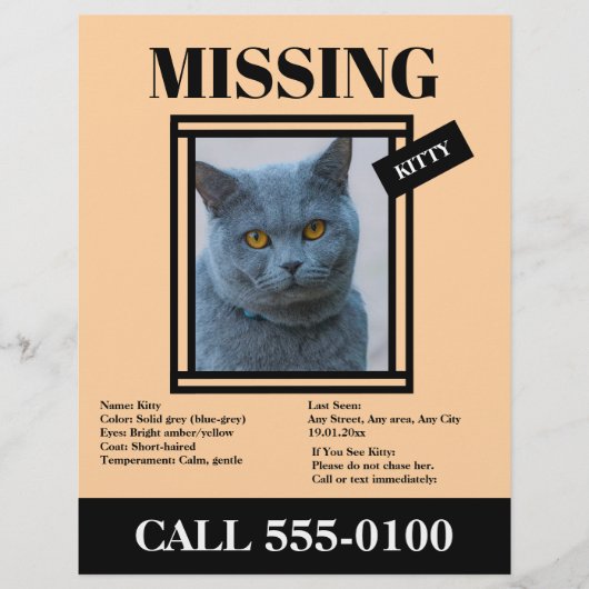 Missing Pet Flyer Custom Photo, Info チラシ (正面)