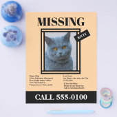 Missing Pet Flyer Custom Photo, Info チラシ (シングル)