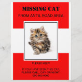 missing pet flyer,poster チラシ (正面)