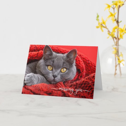 Missing You Gray Cat in a Red Knit Afghan カード (黄色い花)