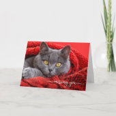 Missing You Gray Cat in a Red Knit Afghan カード (正面)