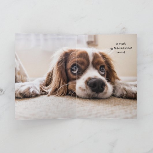 Missing You How are You Sad Lonely Cute Dog カード (内部)