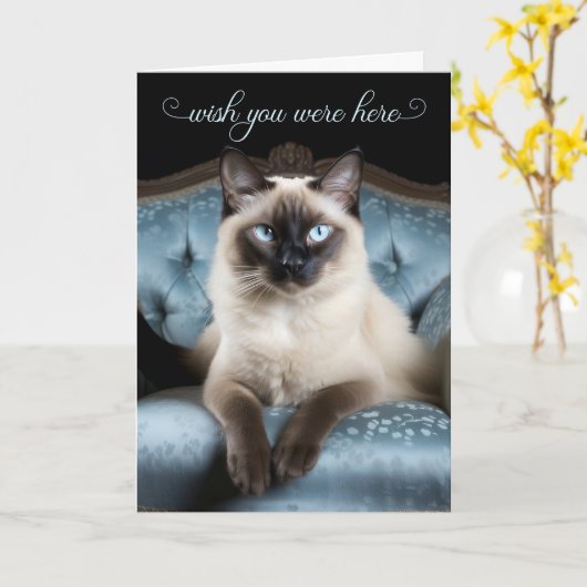 Missing You Siamese Cat on a Blue Chair カード (黄色い花)
