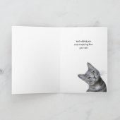 Missing You Thinking of You Curious Cat カード (内部)