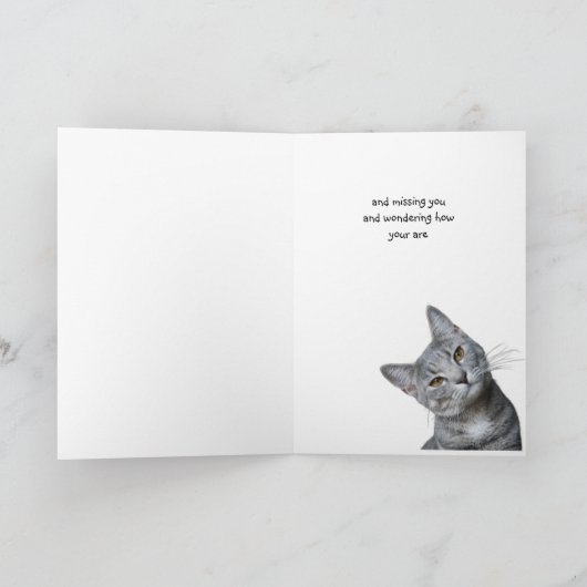 Missing You Thinking of You Curious Cat カード (内部)