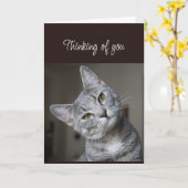 Missing You Thinking of You Curious Cat カード (黄色い花)