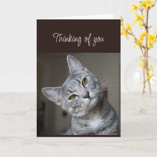 Missing You Thinking of You Curious Cat カード (黄色い花)