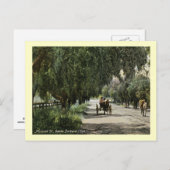 Mission St., Santa Barbara, Californiaヴィンテージ ポストカード (正面/裏面)