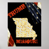 MISSOURI ポスター (正面)