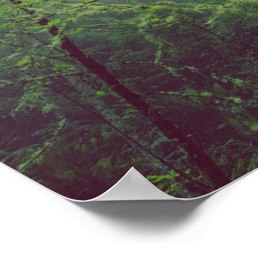 Misty Forest ポスター (角)