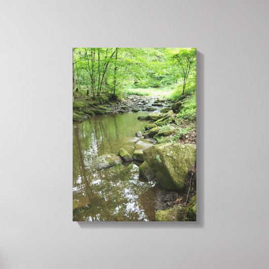 Misty Forest Canvas Wall Art | Serene Nature キャンバスプリント (正面)