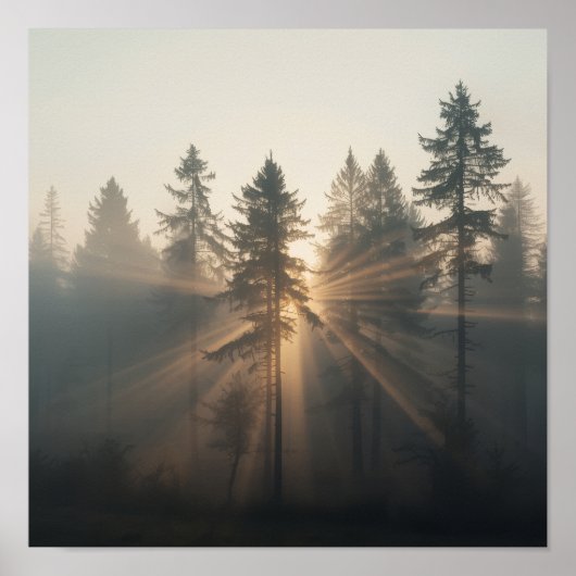 Misty Forest Morning Landscape ポスター (正面)