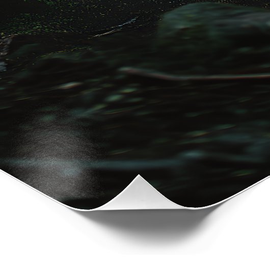 Misty Forest Wolf Pack ポスター (コーナー)