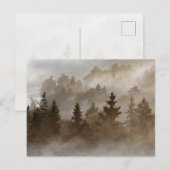 Misty morning at the valley ポストカード (正面/裏面)
