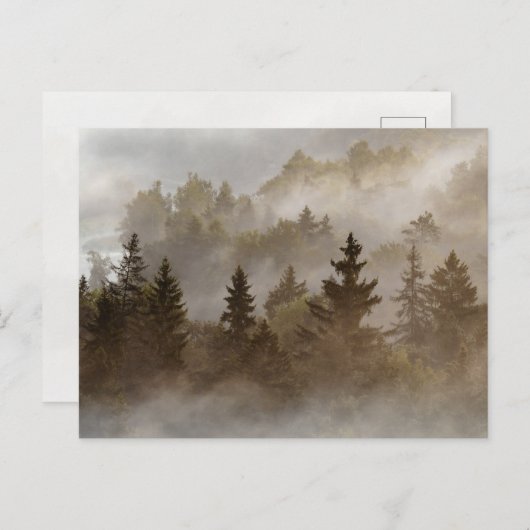 Misty morning at the valley ポストカード (正面/裏面)