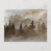 Misty morning at the valley ポストカード (正面)