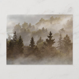 Misty morning at the valley ポストカード