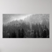 Misty Pine Forest Black and White Landscape ポスター (正面)