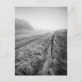 Misty Wiltshire Fieldはがき ポストカード (正面)