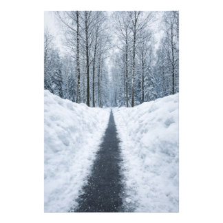 Misty Winter Forest Path Winter Landscape Poster フォトプリント