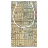 Mitchell著シカゴの地図 スモールペーパーバッグ (裏面)