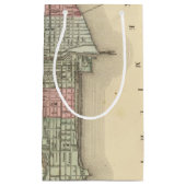 Mitchell著シカゴの地図 スモールペーパーバッグ (正面)