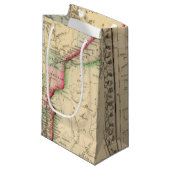 Mitchell著ミネソタの地図 スモールペーパーバッグ (正面アングル)