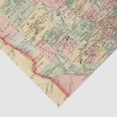 Mitchell著ミネソタの地図 薄葉紙 (詳細)