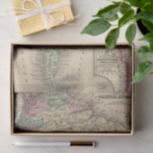 Mitchell著南アメリカの地図 薄葉紙 (ギフト)