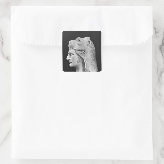 、Mithradates VI Eupatorポントス王国の王 スクエアシール (バッグ)