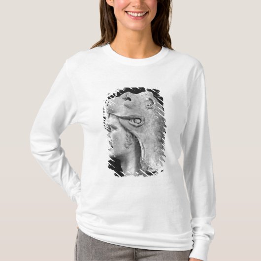 、Mithradates VI Eupatorポントス王国の王 Tシャツ (正面)