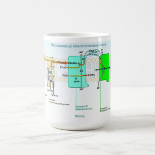 Mitonchondrial Intermembraneの空間図 コーヒーマグカップ