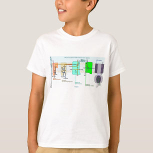 Mitonchondrial Intermembraneの空間図 Tシャツ