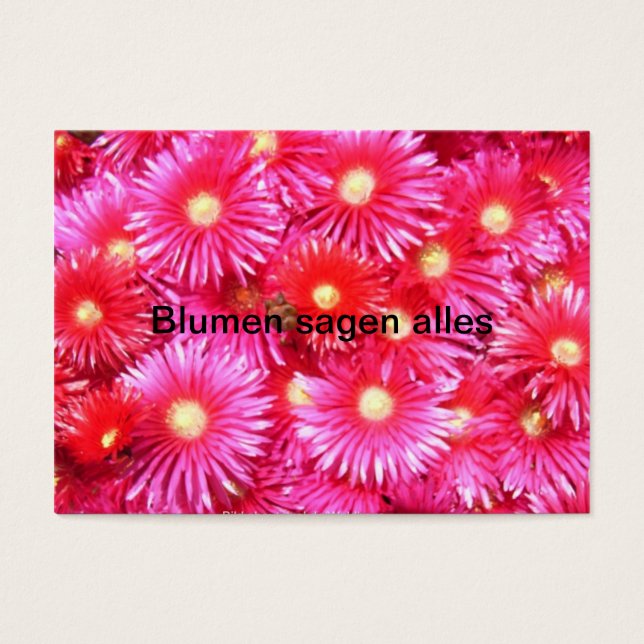 Mittagsblumen (正面)