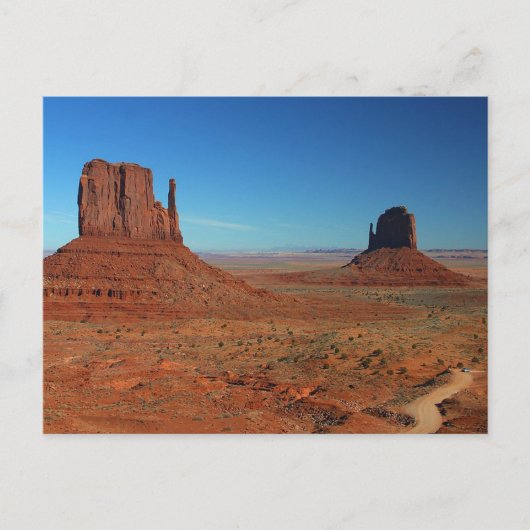 Mittens in Death Valleyはがき ポストカード (正面)