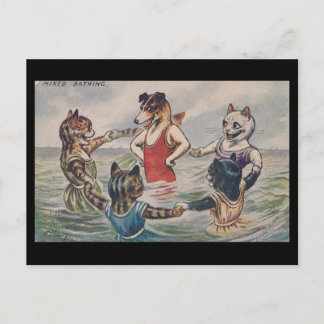 Mixed Bathing - Dog and Cats Postcard ポストカード