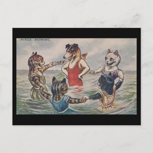 Mixed Bathing - Dog and Cats Postcard ポストカード (正面)